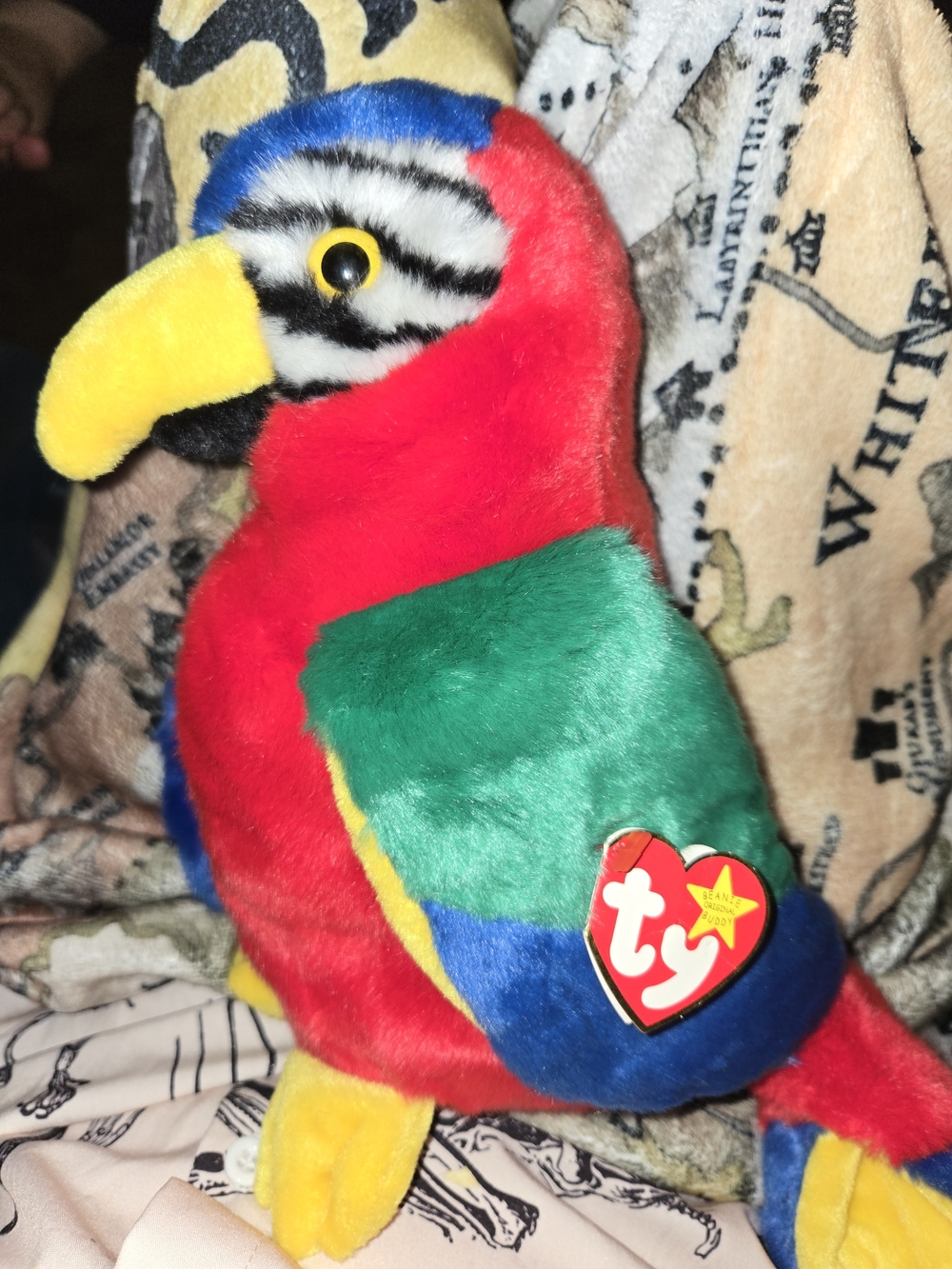 TY Beanie Plush Parrot - Red, Green, Blue, Yellow